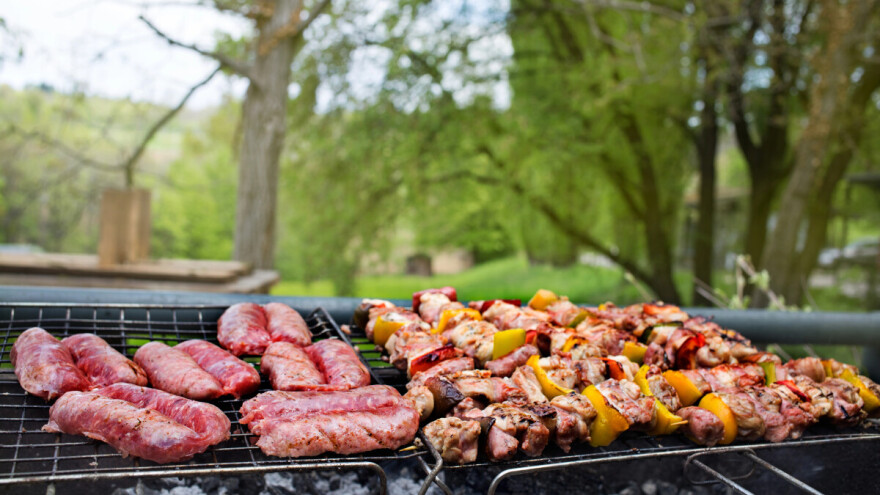 Dozvoljeno roštiljanje i na zaštićenim područjima, uz jedan uslov
