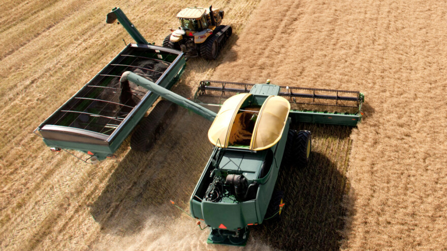 Uprkos većoj proizvodnji uljane repice, EU je nema dovoljno?