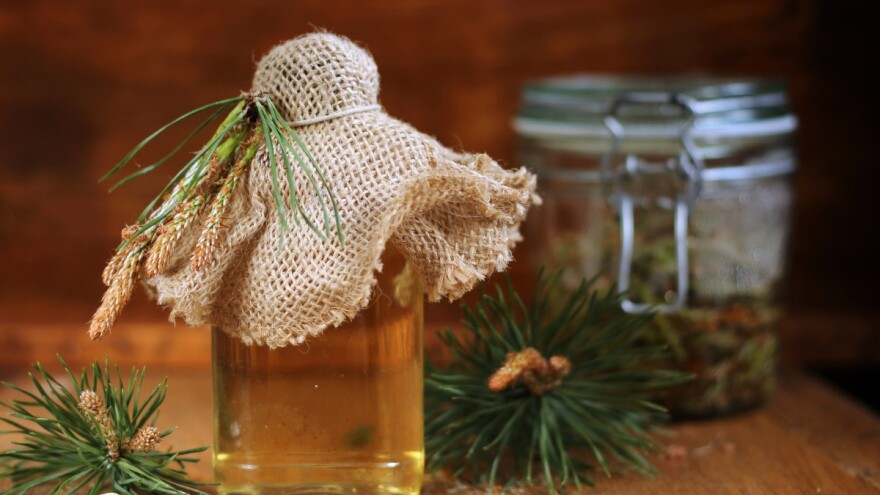 Ljekoviti medni rastvor od borovih iglica - nije isto što i borov med