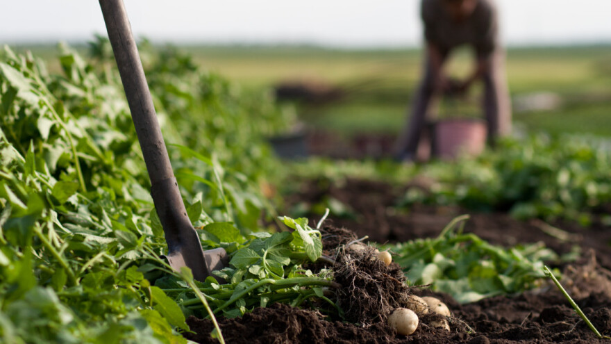 Kako popuniti Evidenciju vlastitih proizvoda ako nije bilo prodaje?