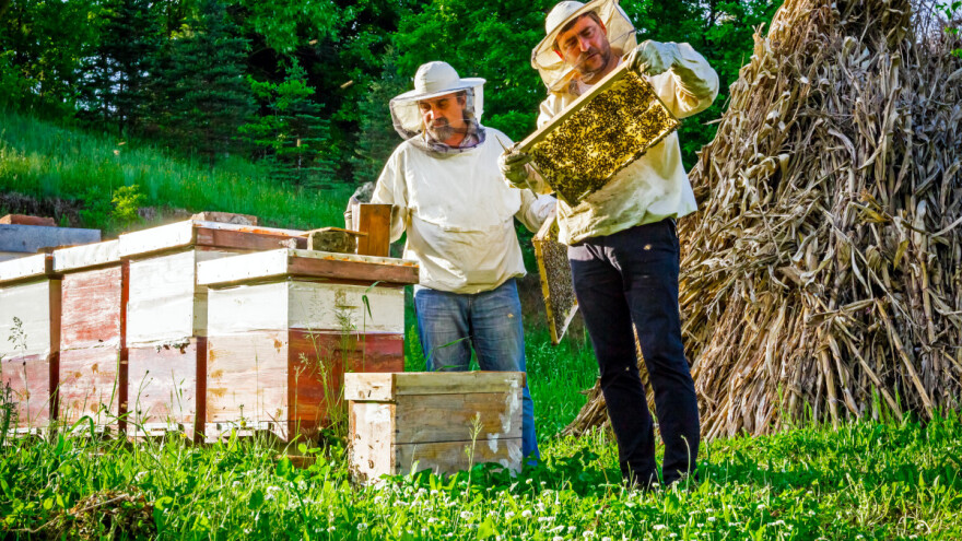 Osniva se europski pčelarski savez - tri su glavna cilja