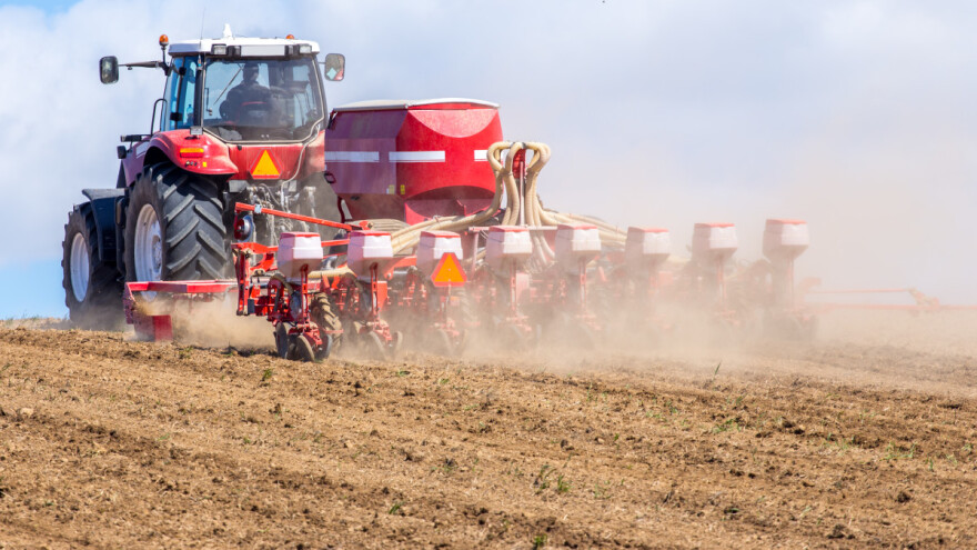 Hrvatska nema razloga za brigu oko eventualne nestašice pšenice?