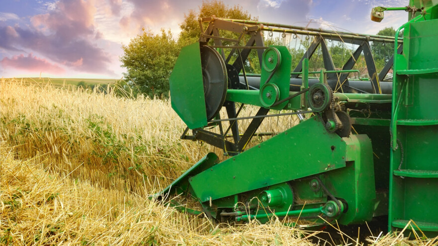 TOP 10: Tko su najveći uzgajivači ozimog, a tko jarog ječma?