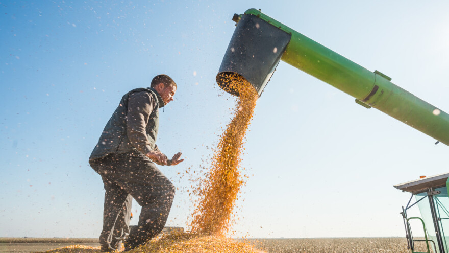 Objavljene su inicijalne rang liste za tipove operacija 6.3.1 i 6.1.1