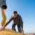 Robne rezerve kupuju 150.000 tona kukuruza za 40 dinara po kilogramu