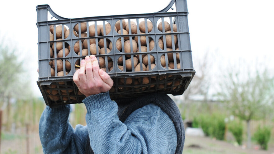 Zabranjeni klorprofam se zadržava u skladištima - koja je dozvoljena granica?
