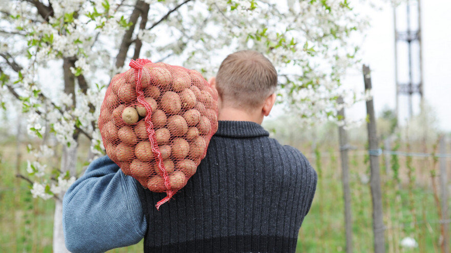 Hoćemo li se zahvaliti i seljaku?