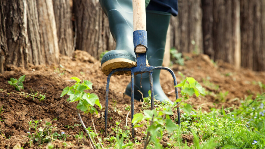 Dan planete Zemlje obilježit ćemo u vrtu ili u fotelji?