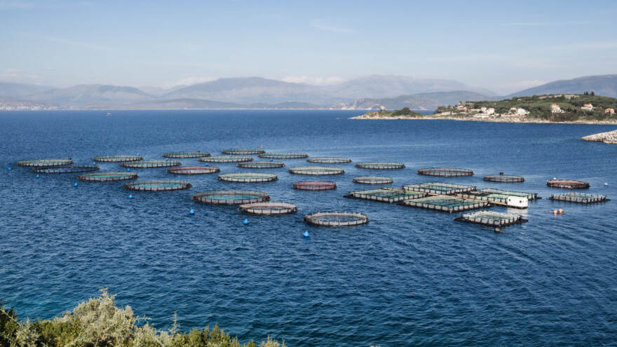Povećanje potencijala akvakulturnih lokaliteta: Izmjene Pravilnika o načinu dodjele potpore