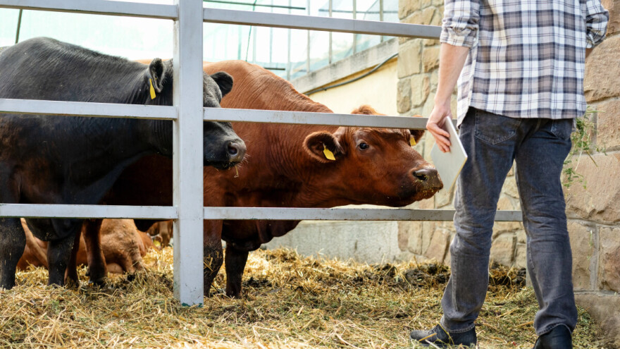 Krenuli su: Inspektori će "patrolirati" dva mjeseca - i popodne i vikendom