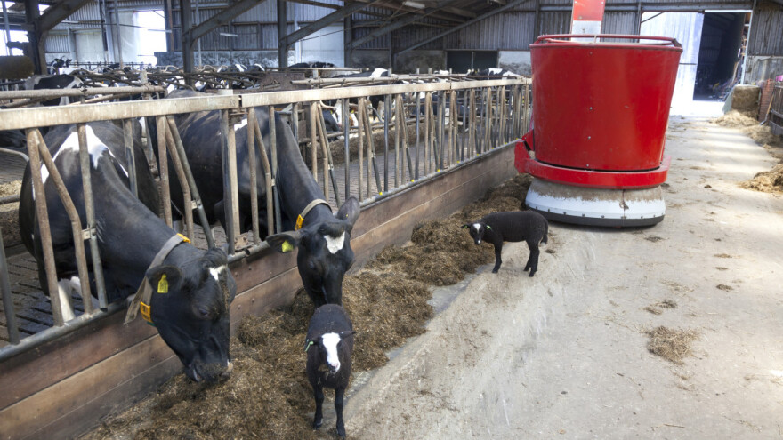 Uhićeno oko 50 farmera - prosvjedovali zbog smanjenja proteina u hranidbi krava