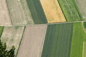 Konkurs za raspodelu sredstava za korišćenje poljoprivrednog zemljišta