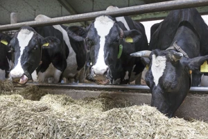 Farma s jedinstvenim sustavom zbrinjavanja i upotrebe stajnjaka