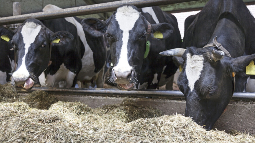 Farma sa jedinstvenim sistemom zbrinjavanja i upotrebe stajnjaka