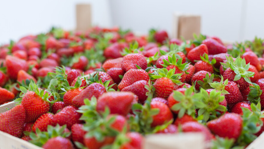 Albanske jagode ponovo pale na bh. granici