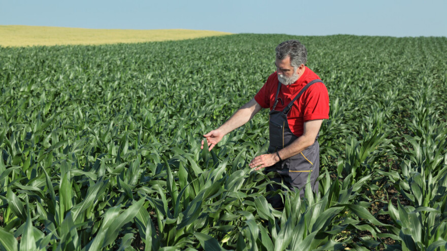 Kako smanjiti gubitak prinosa: Aplikacije vam mogu olakšati posao