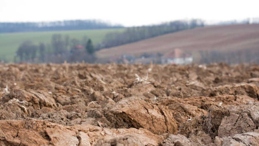 Šta kada je zemljište kiselo?