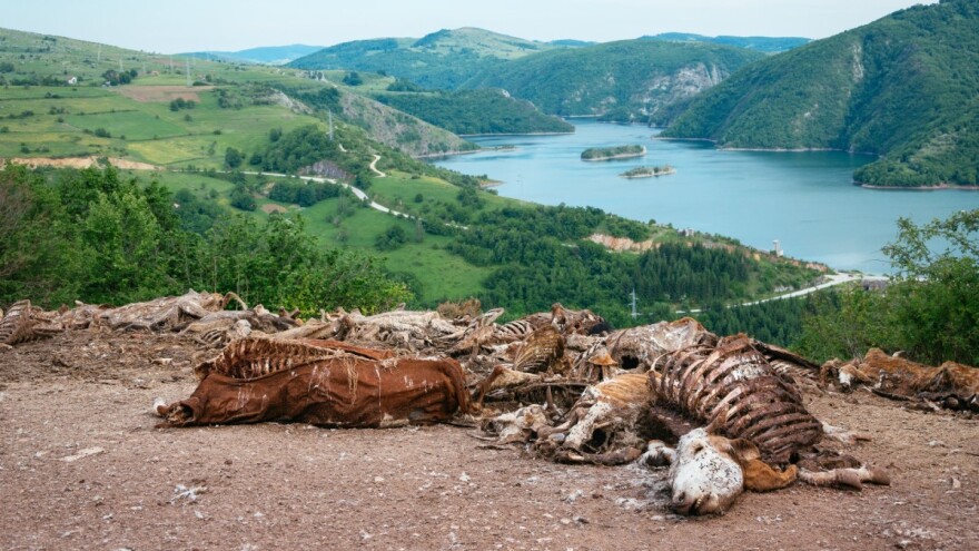 Životinjski otpad ili ipak sirovina: Inspektori pišu kazne, a zakon neprovodiv