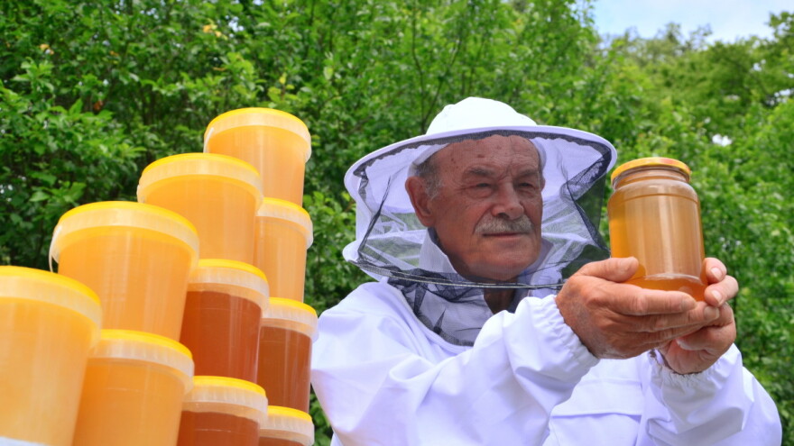 Raste cena bagremovog i kreće otkup meda u saću