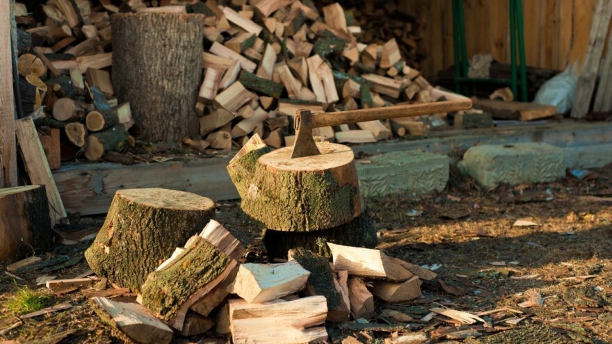 Što je drvo čvršće, kaloričnije je te duže gori, evo koja odabrati za ogrjev