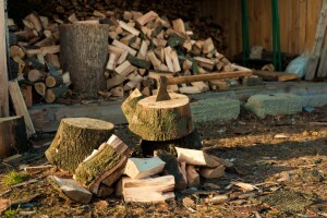 Vlada FBiH traži produženje zabrane izvoza drvnih sortimenata