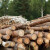 Unija poslodavaca RS: Zabrana izvoza drveta i peleta proizvest će probleme