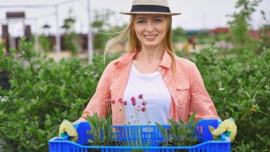Posjetite natjecanje cvjećara i kreativne radionice