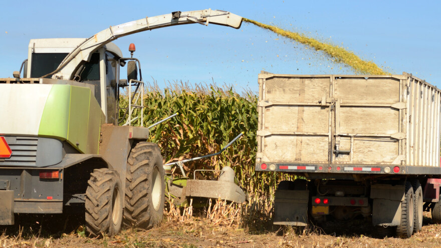Ratari i dalje "kratkih rukava" - gdje su novci za predanu silažu iz 2019.?