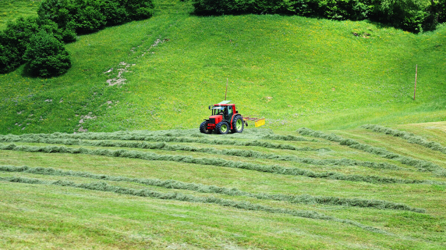 Pokosite livade, stabilizacija vremena neće dugo potrajati