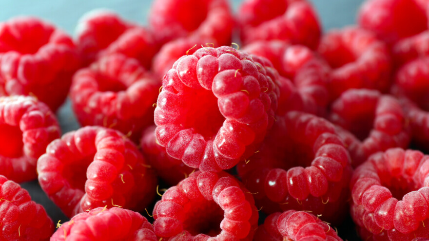 Zna se datum 16. Dana maline u Bratuncu