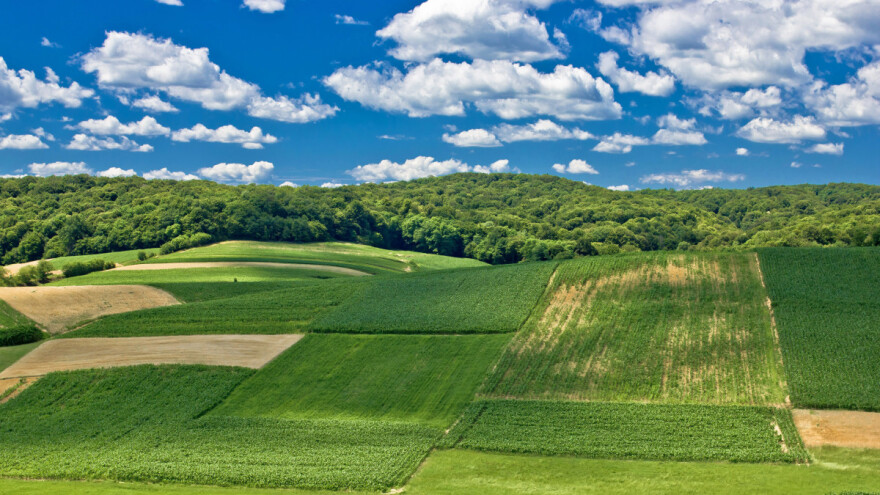 Dugoročna prognoza: Čeka nas toplije proljeće - a padavine?