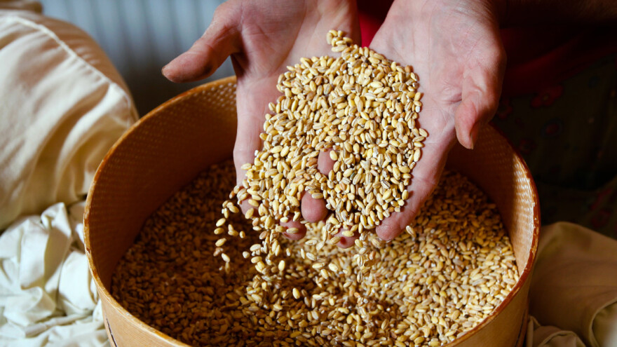 RZS: Povećane cene industrijskog bilja i žita