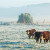 Slijede ledeni dani: Kako će prezimiti poljoprivredne kulture?
