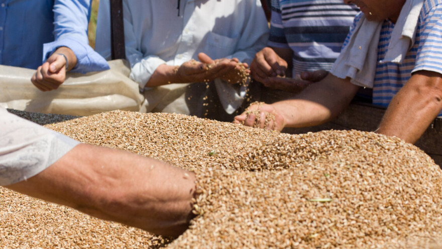 Predviđalo se da će Rusija do kraja 2018. ostati bez pšenice