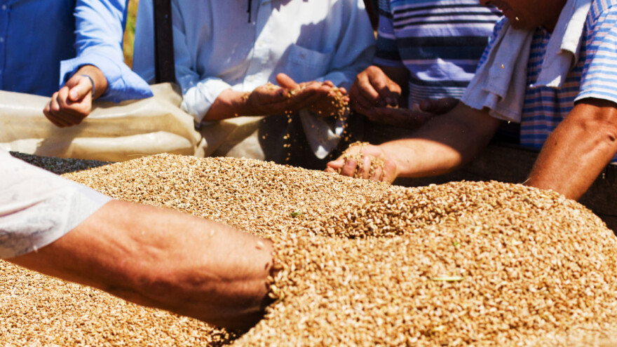 Nestabilne cijene žitarica na evropskom tržištu