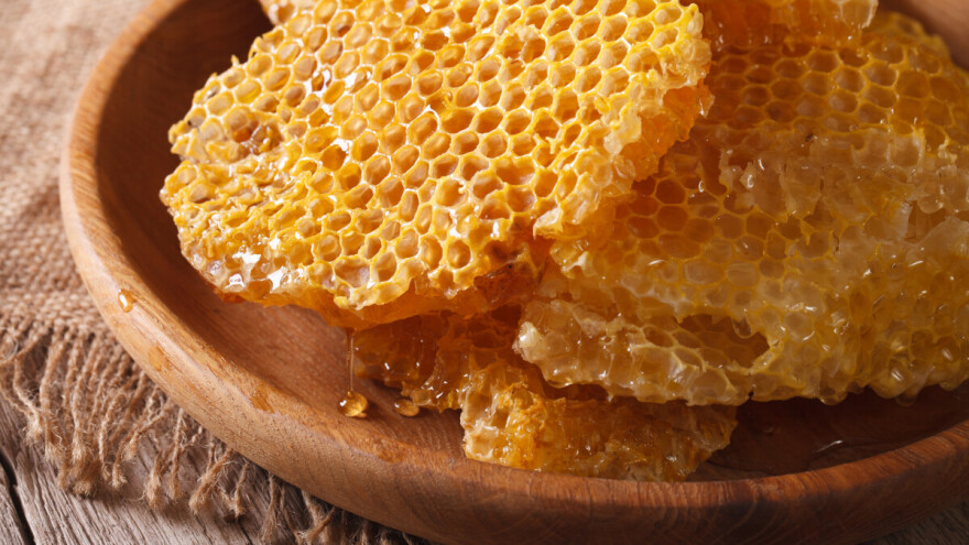 Pčelinji vosak učinkovito je i ekološko zaštitno sredstvo u vrtlarenju