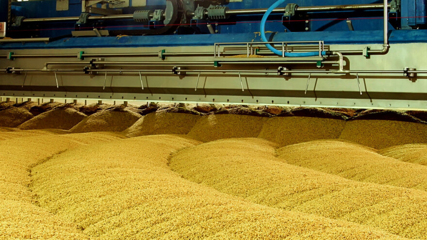 Nema bacanja: Nusproizvodi u izradi piva dobri za izradu krekera i hrane za ribu