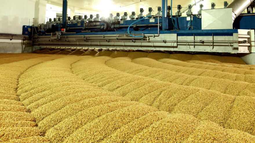 Bečki ječam za bečko pivo - proizvode ga na površini od 105 hektara