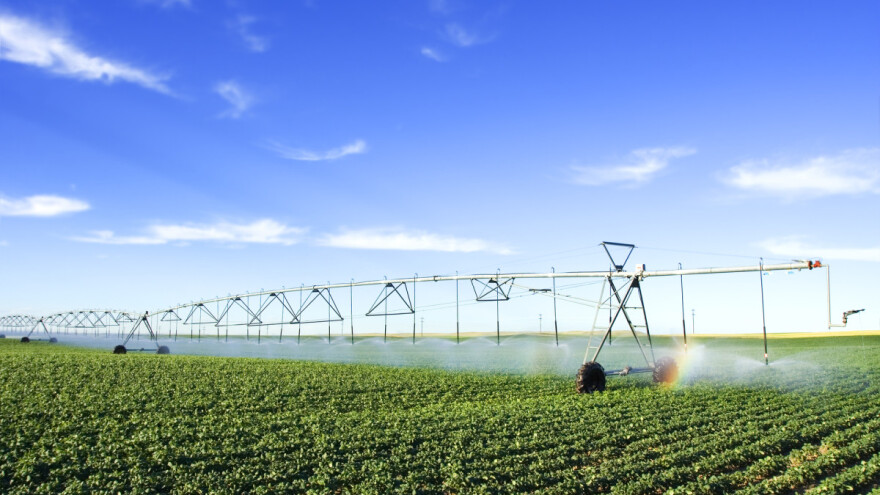 Silva Wendling: Bez navodnjavanja nema ozbiljne poljoprivredne proizvodnje