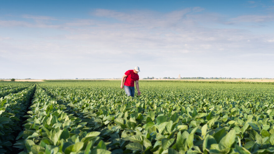 Uskoro dogovor oko reforme ZPP? U fokusu mladi i generacijska obnova sela