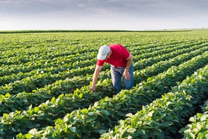 Neadekvatno tržište rada za agronome u BiH: Razlozi - prošlost i sadašnjost