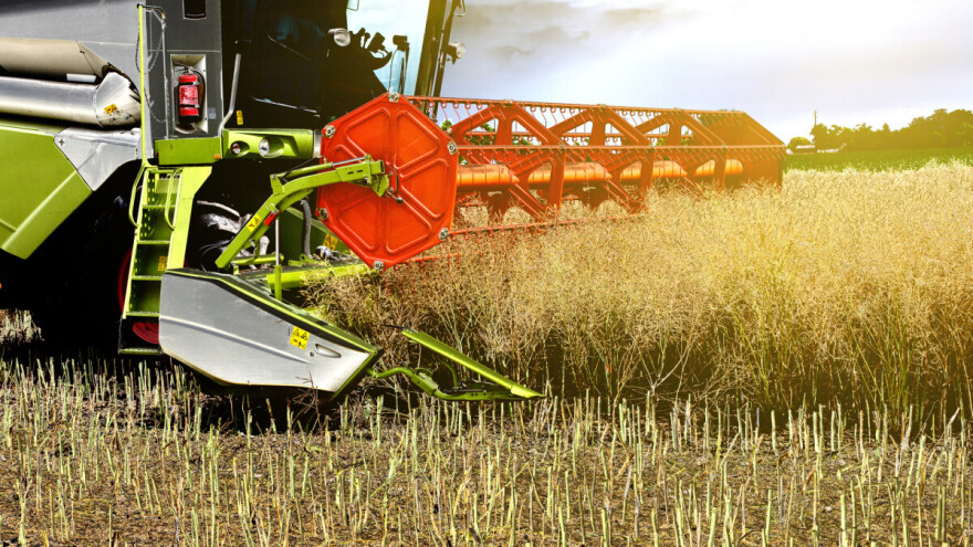 Cijene uljane repice u Njemačkoj porasle zbog manje proizvodnje