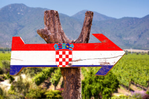 Napravljen je prvi korak u razvoju Nacionalne strategije poljoprivrede, što kaže analiza stanja?
