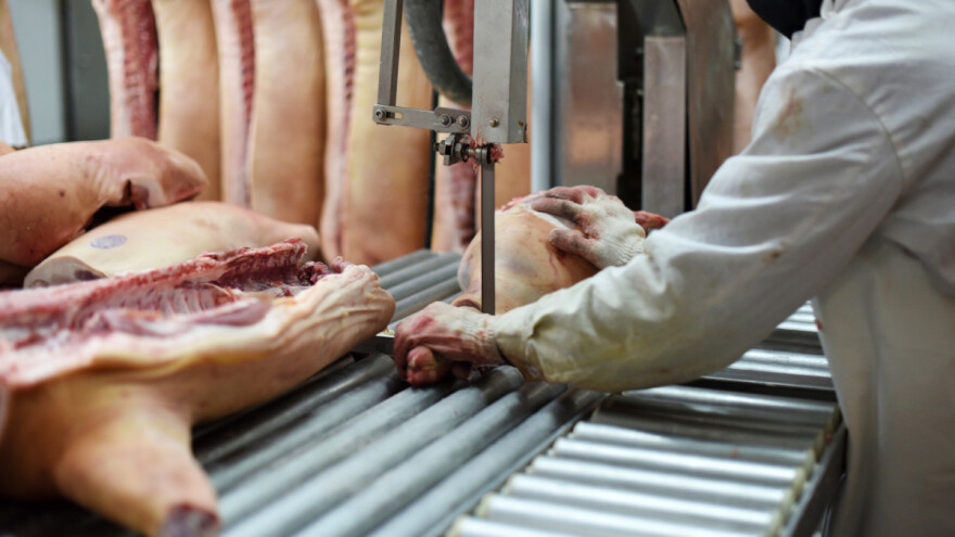 Kolaps industrije svinja u Kini? Šta je razlog?