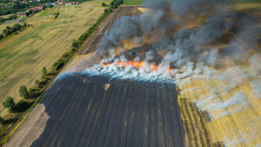 Izgorjelo polje pšenice - i to zbog opuška cigarete?