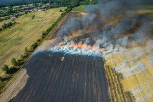 Izgorelo više od 30 ha pšenice kod Kikinde