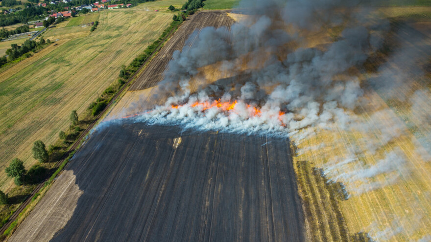 Izgorelo više od 30 ha pšenice kod Kikinde