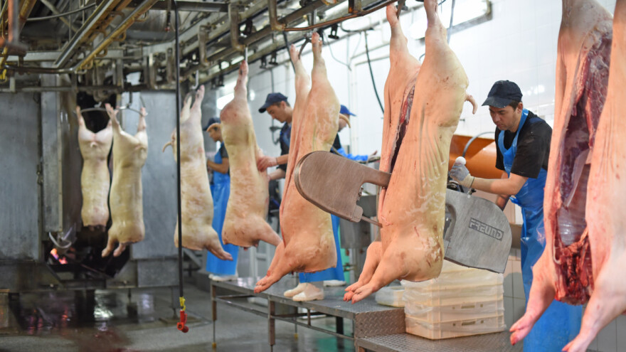 Biće željni domaće svinjetine: Nemačka u ozbiljnoj krizi?