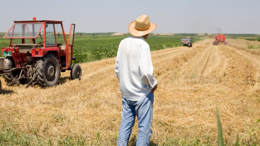 Vrijeme Bogom dano za završetak žetve: Čuvajte se u poljima