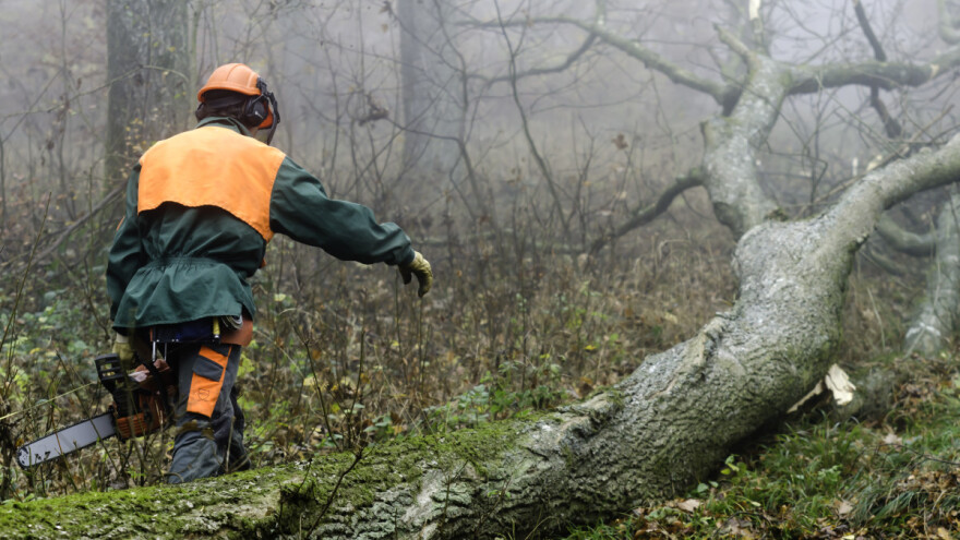 Šumska gazdinstva režu plate radnicima zbog pada prihoda